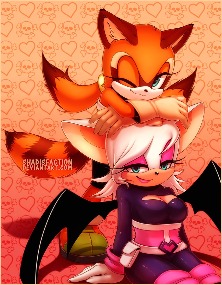 rouge the bat and marine the raccoon (sonic) drawn by sonya_sapphire