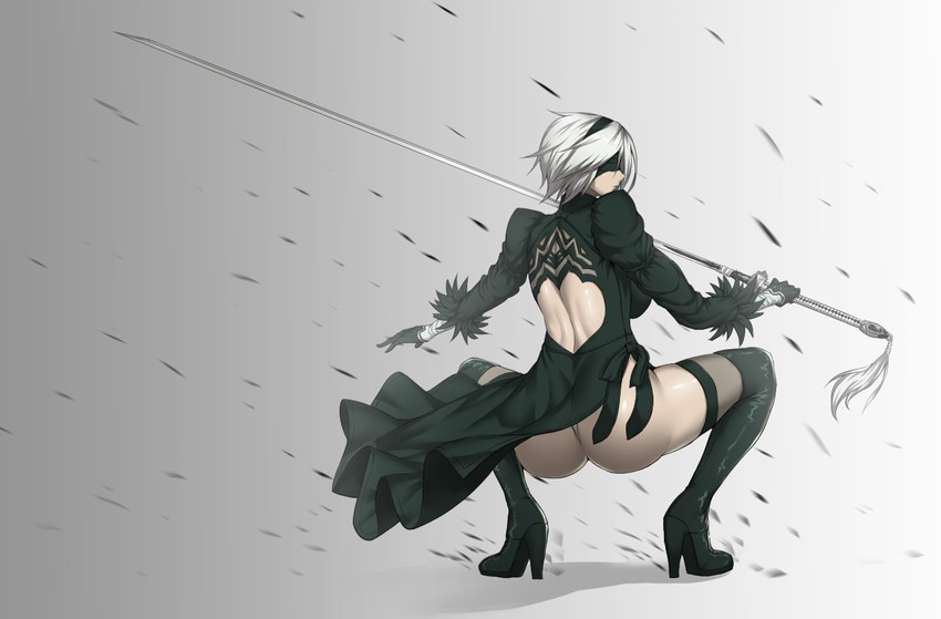 2b (nier and 1 more) drawn by araichi_(araichi_2)