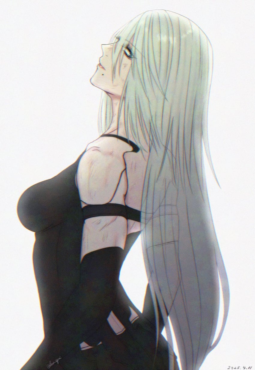 a2 (nier and 1 more) drawn by lux_spei
