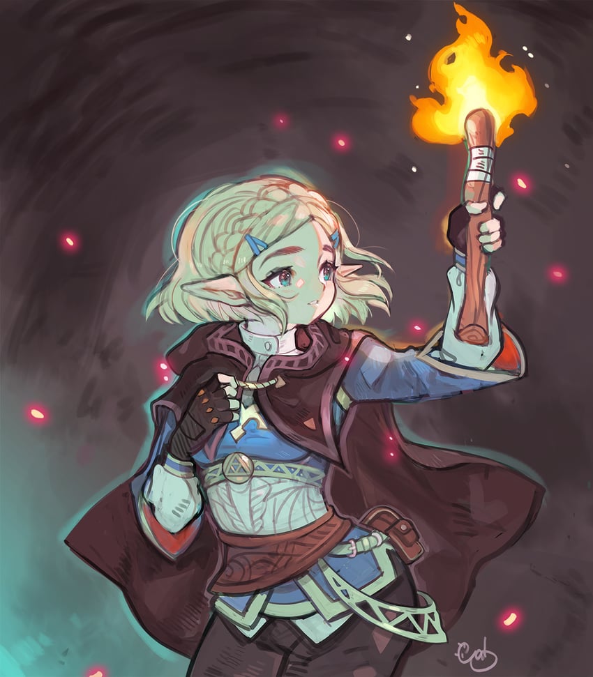 princess zelda (the legend of zelda and 1 more) drawn by alpaca_carlesi