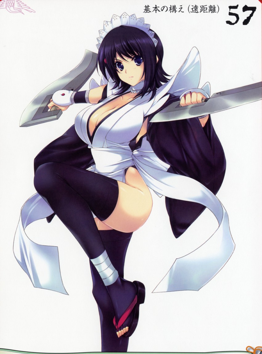 iroha (queen's blade and 2 more) drawn by iizuki_tasuku
