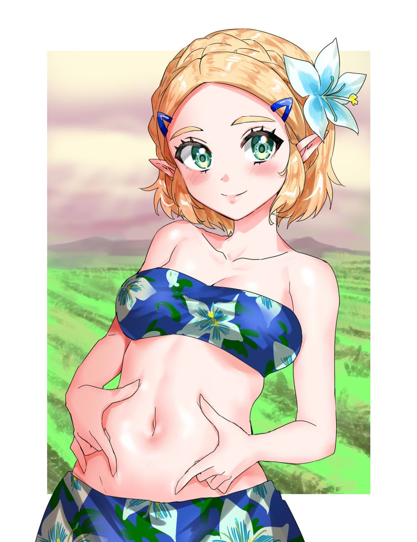 princess zelda (the legend of zelda and 1 more) drawn by wasabi_(legemd)