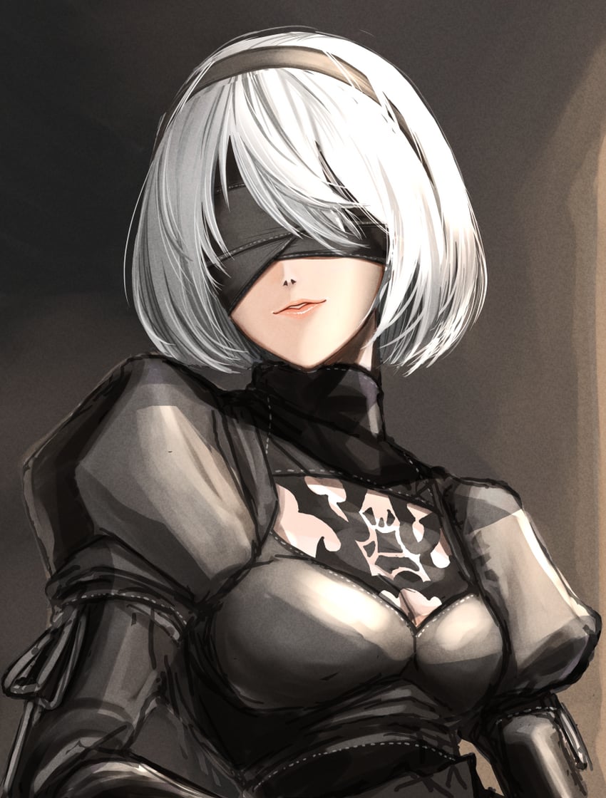 2b (nier and 1 more) drawn by ayamo_kaoru