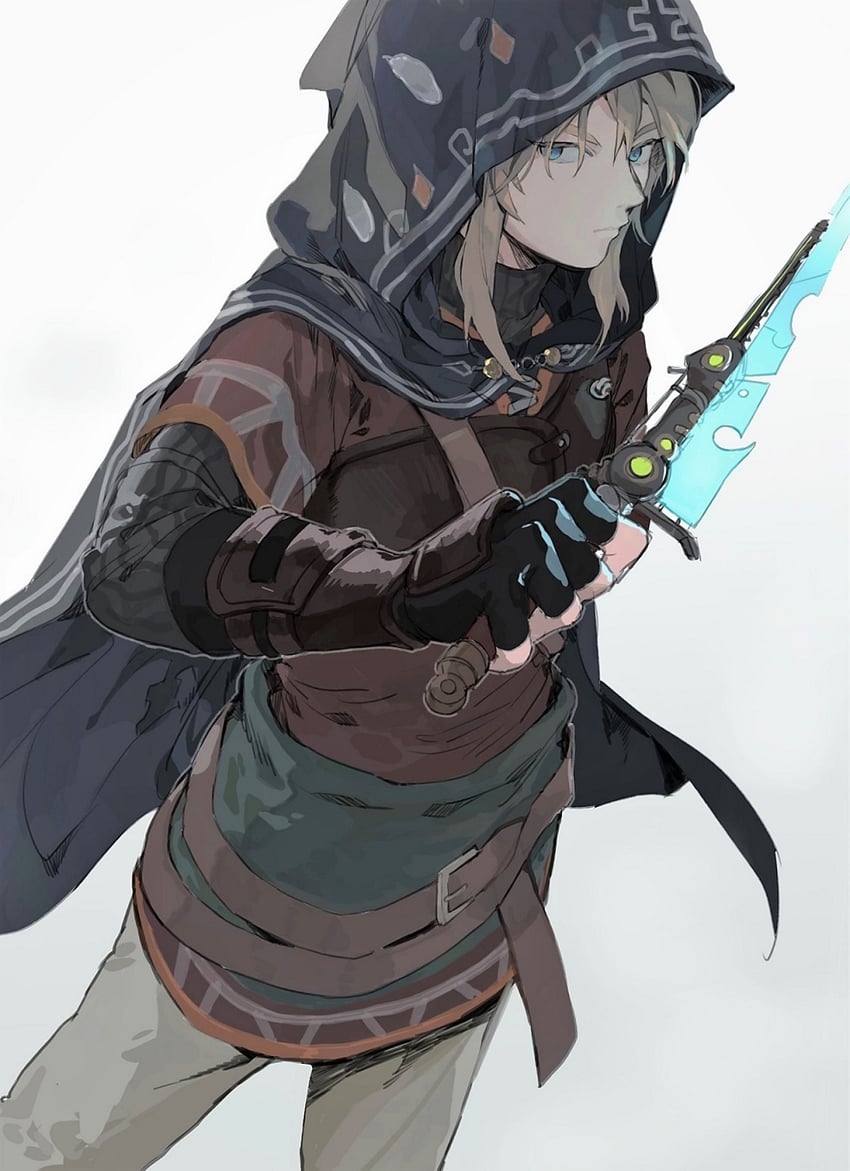 link (the legend of zelda and 1 more) drawn by gyou_chin