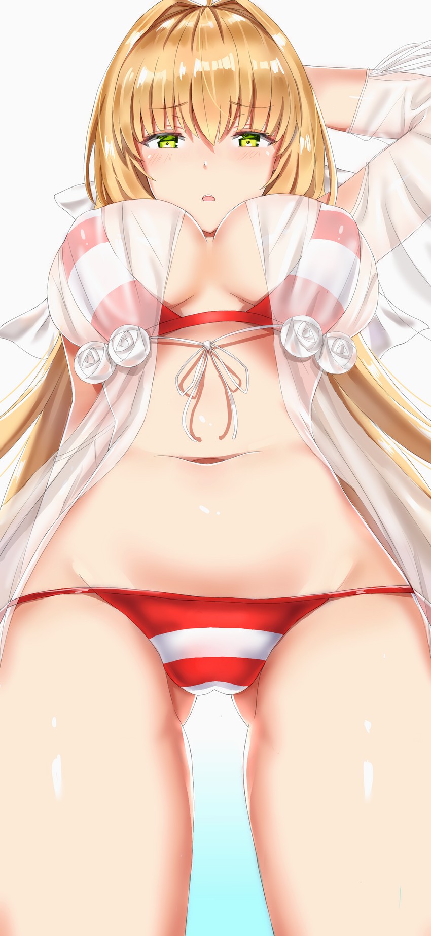 nero claudius (fate and 2 more) drawn by fary5 and yizhirenben