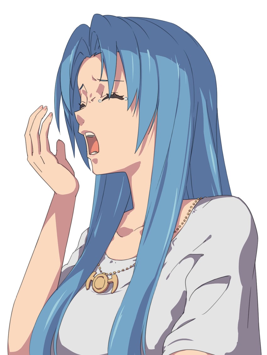 feena (ys and 1 more) drawn by chiharu_(9654784)