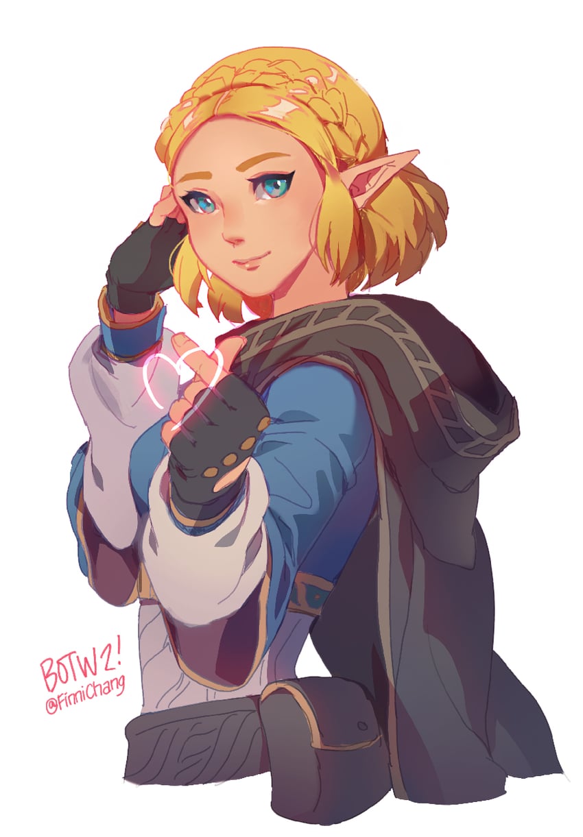princess zelda (the legend of zelda and 1 more) drawn by finni_chang