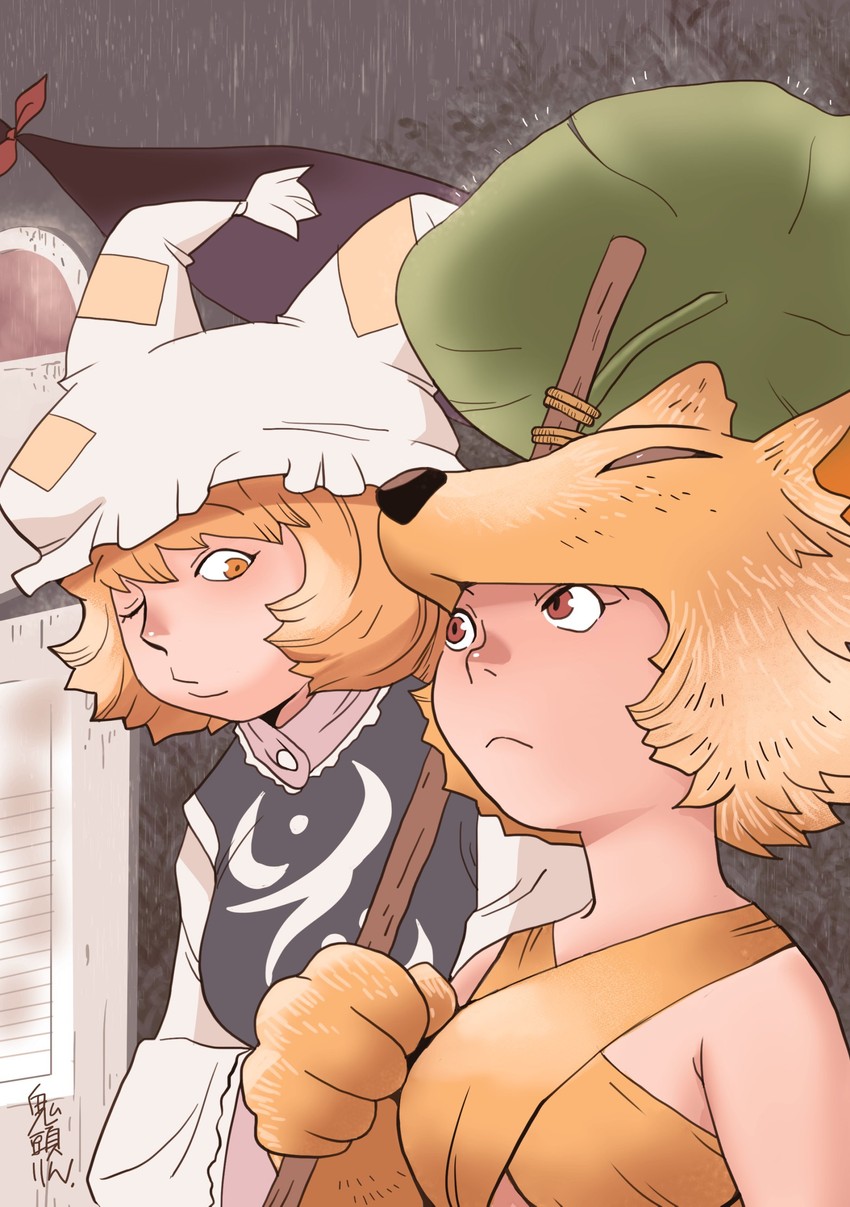 yakumo ran and moonlight flower (touhou and 1 more) drawn by onikobe_rin