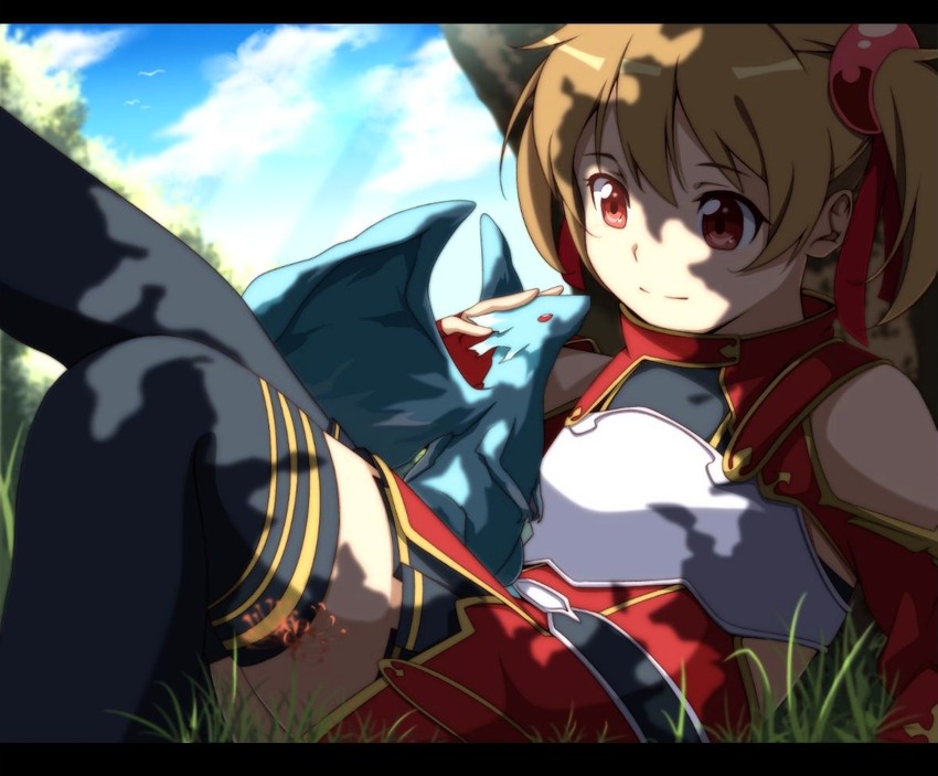 silica and pina (sword art online) drawn by yuihara