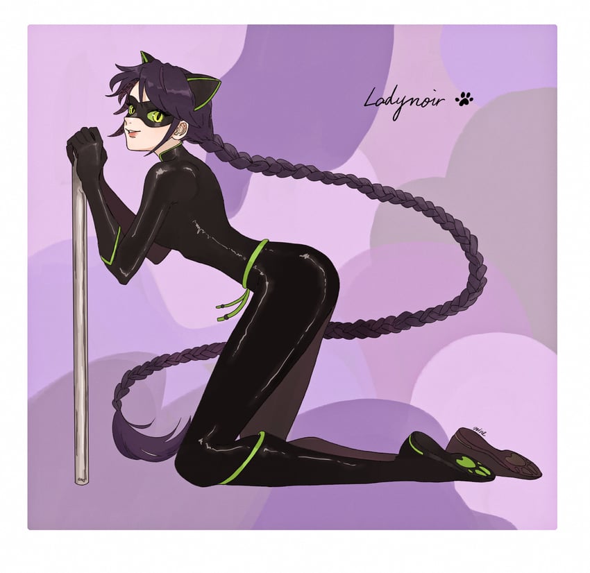 marinette dupain-cheng and lady noir (miraculous ladybug) drawn by nine_dnjnms