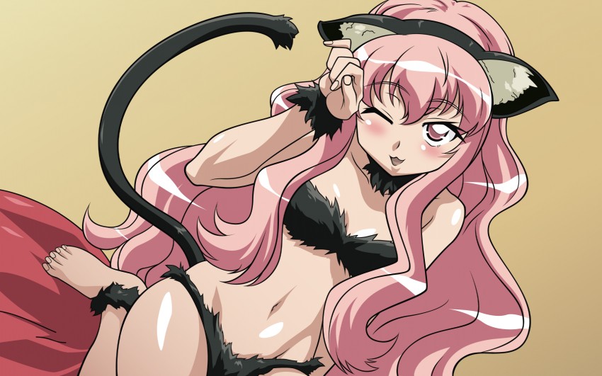 louise francoise le blanc de la valliere (zero no tsukaima)