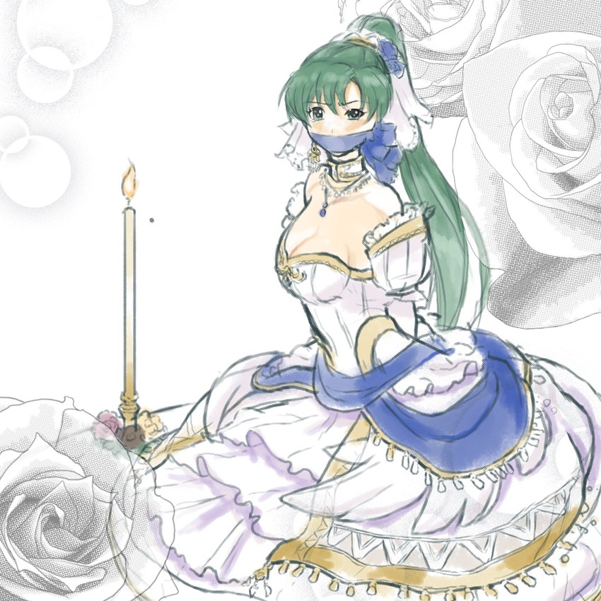 lyn (fire emblem and 2 more) drawn by heartgear