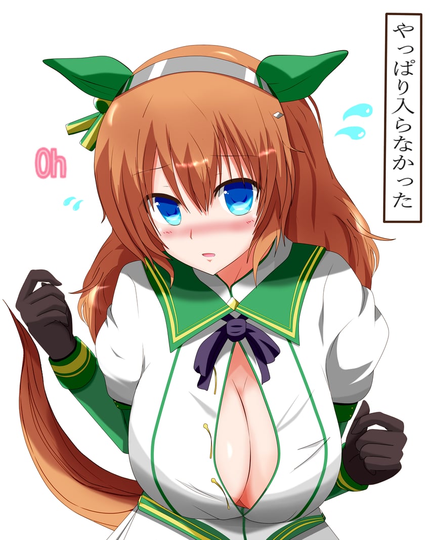 silence suzuka and taiki shuttle (umamusume) drawn by tkka
