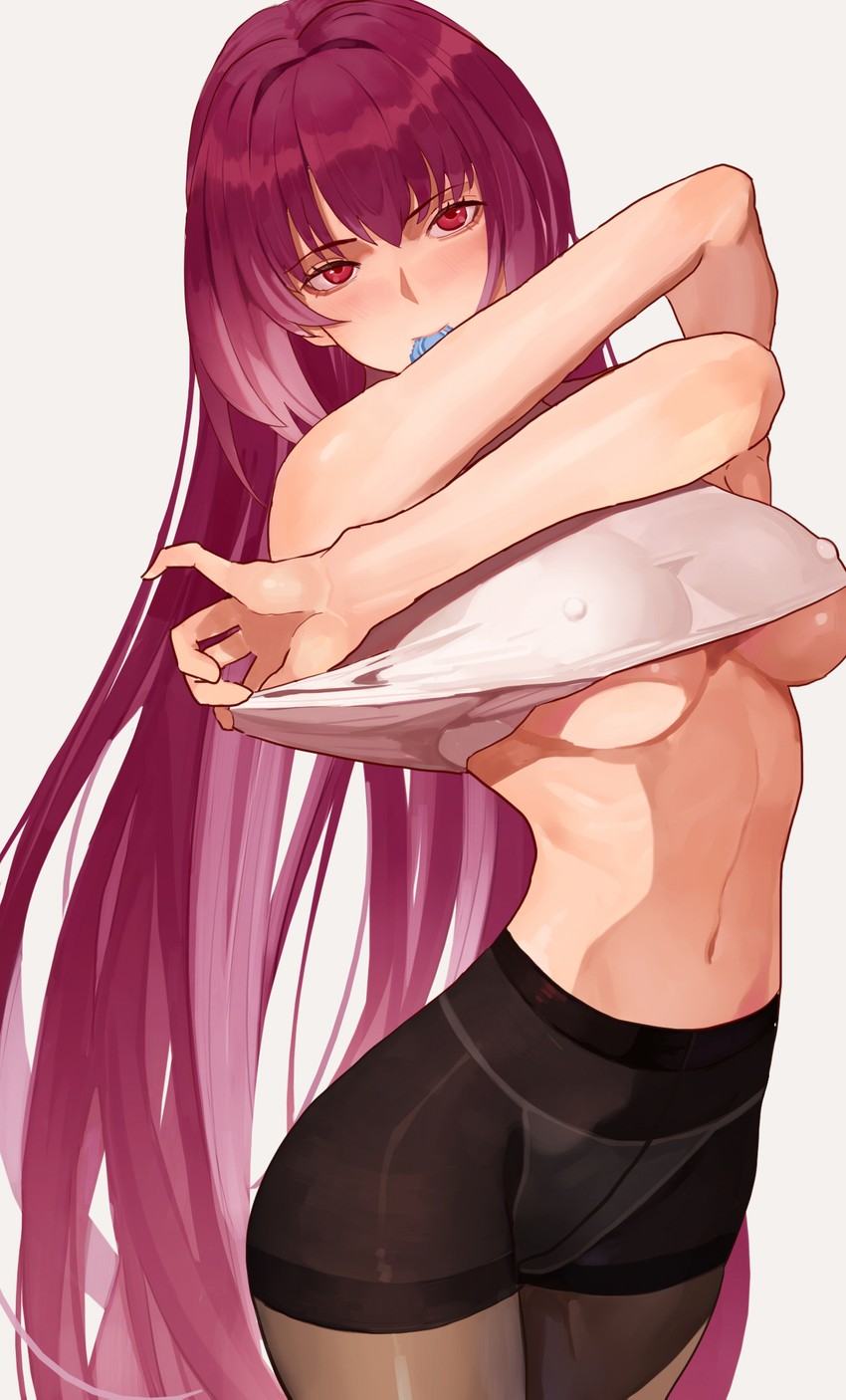 scathach (fate and 1 more) drawn by vic_(vedream)
