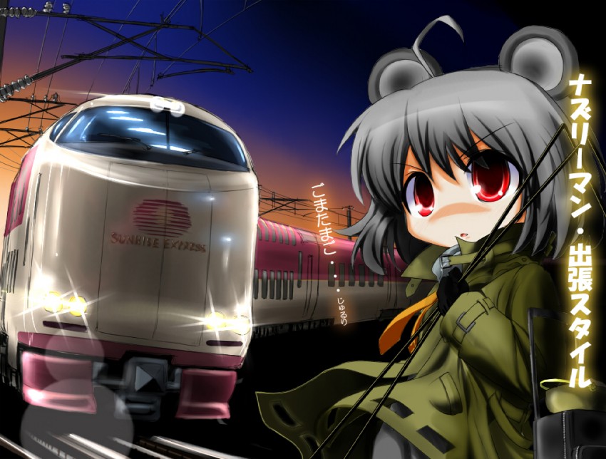 nazrin (touhou) drawn by inyucchi