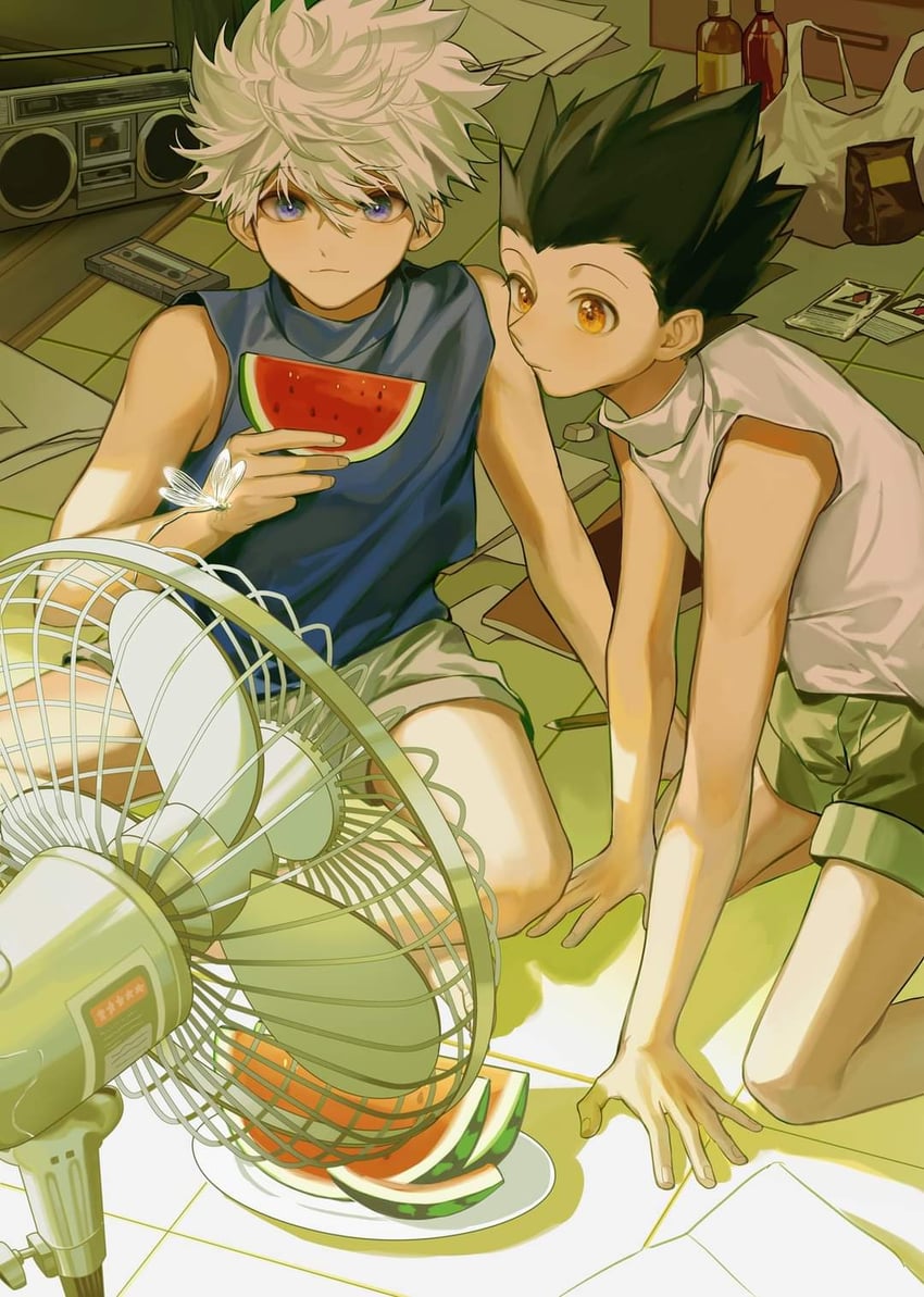 killua zoldyck and gon freecss (hunter x hunter) drawn by to_e