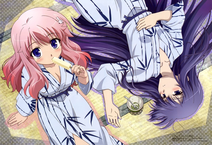 himeji mizuki and kirishima shouko (megami magazine and 1 more) drawn by noda_megumi_(artist)