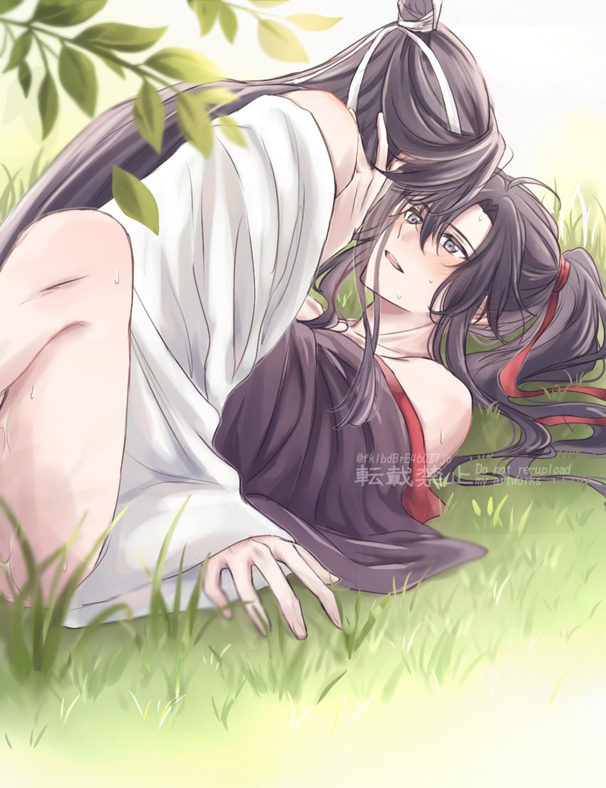 wei wuxian and lan wangji (modao zushi) drawn by semiusa1010