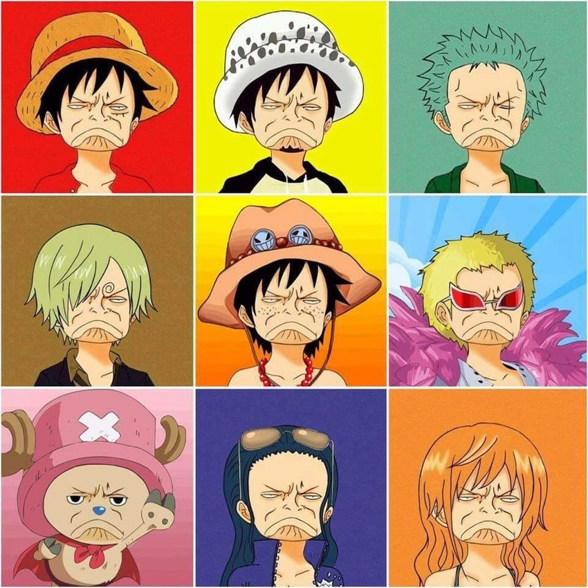 nami, monkey d. luffy, nico robin, roronoa zoro, sanji, and 4 more (one piece and 1 more)
