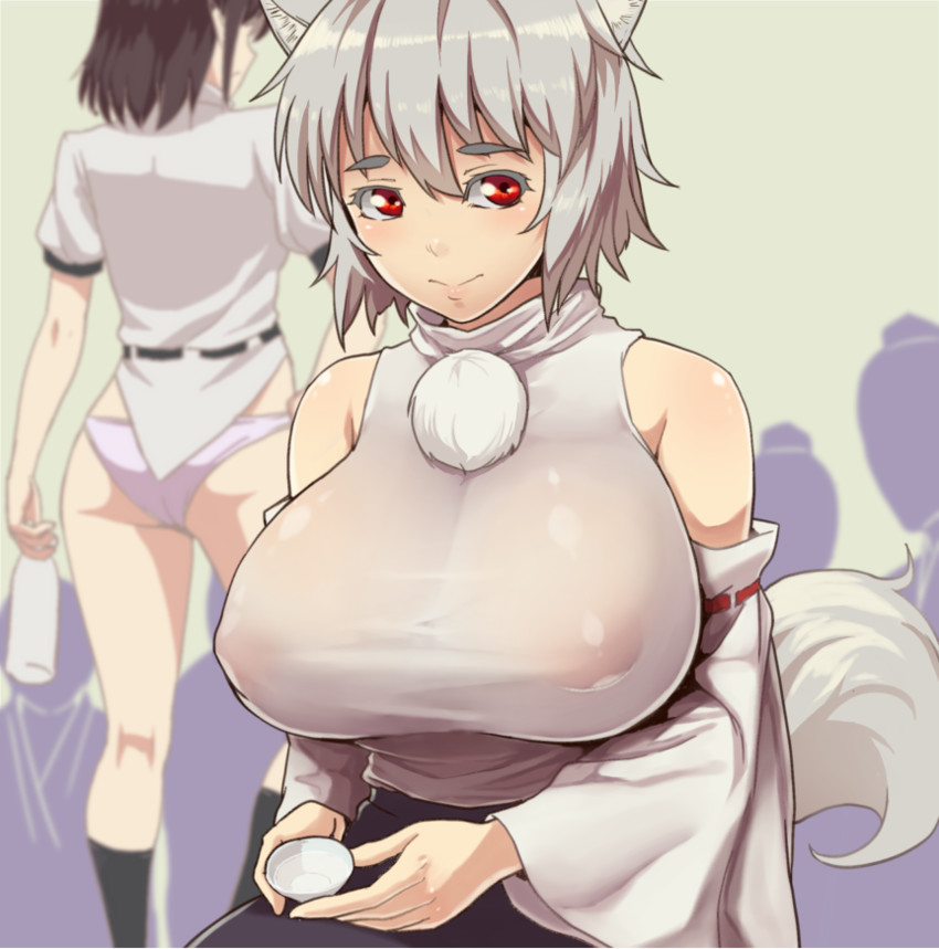 shameimaru aya and inubashiri momiji (touhou) drawn by nishiumi_rin