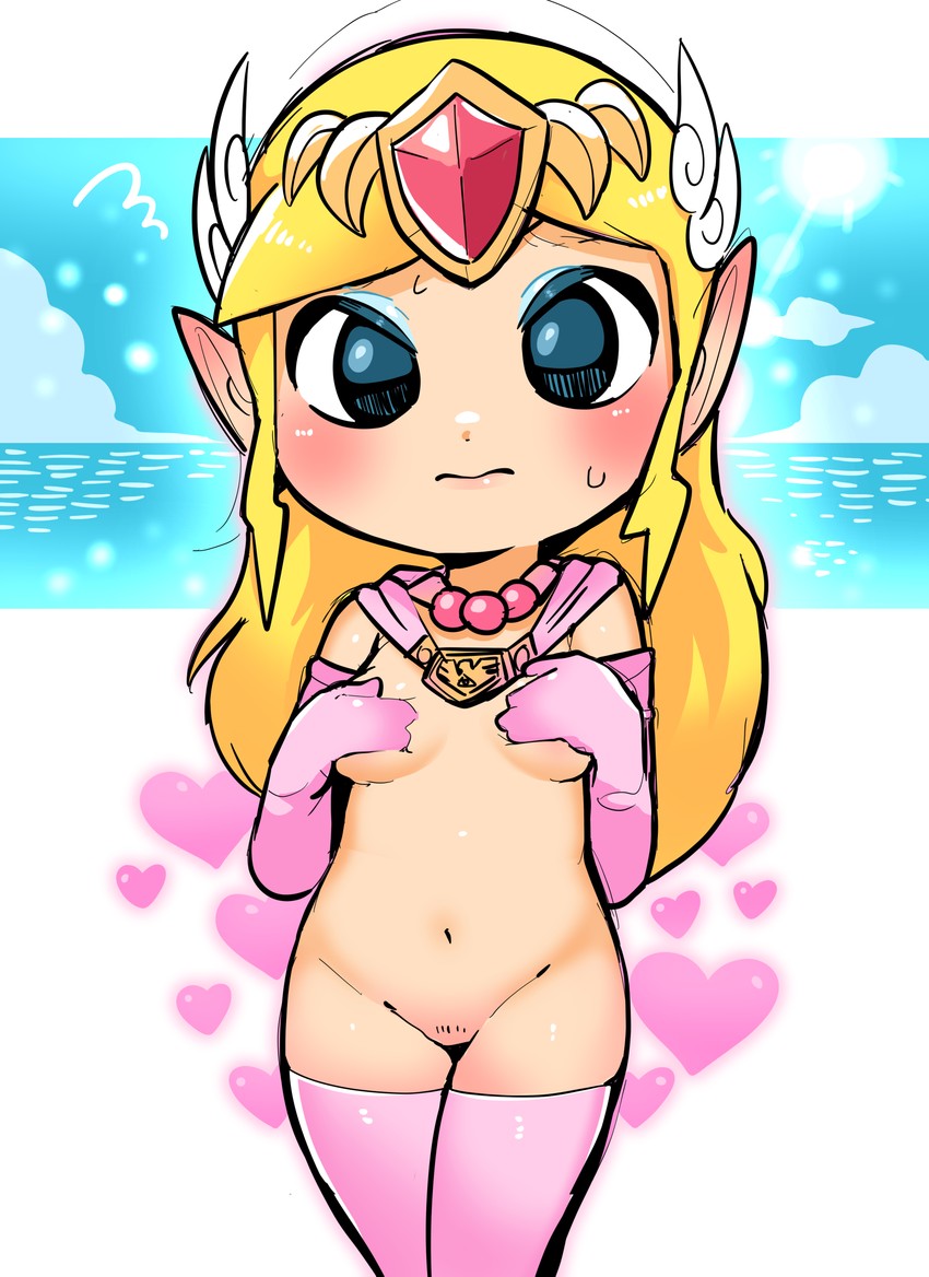 princess zelda and toon zelda (the legend of zelda and 1 more) drawn by tory_(tory29)