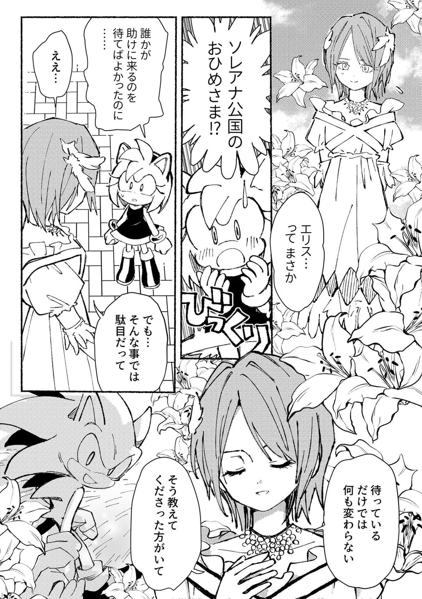 sonic the hedgehog, amy rose, and princess elise the third (sonic and 1 more) drawn by bukiko