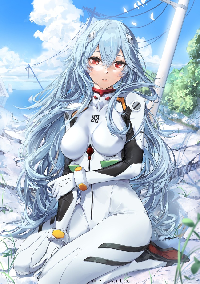 ayanami rei (neon genesis evangelion and 2 more) drawn by meltyrice