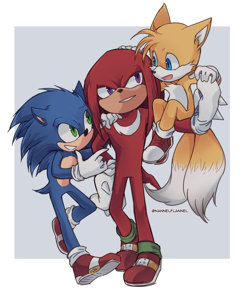 sonic the hedgehog, tails, and knuckles the echidna (sonic and 2 more) drawn by nannelflannel