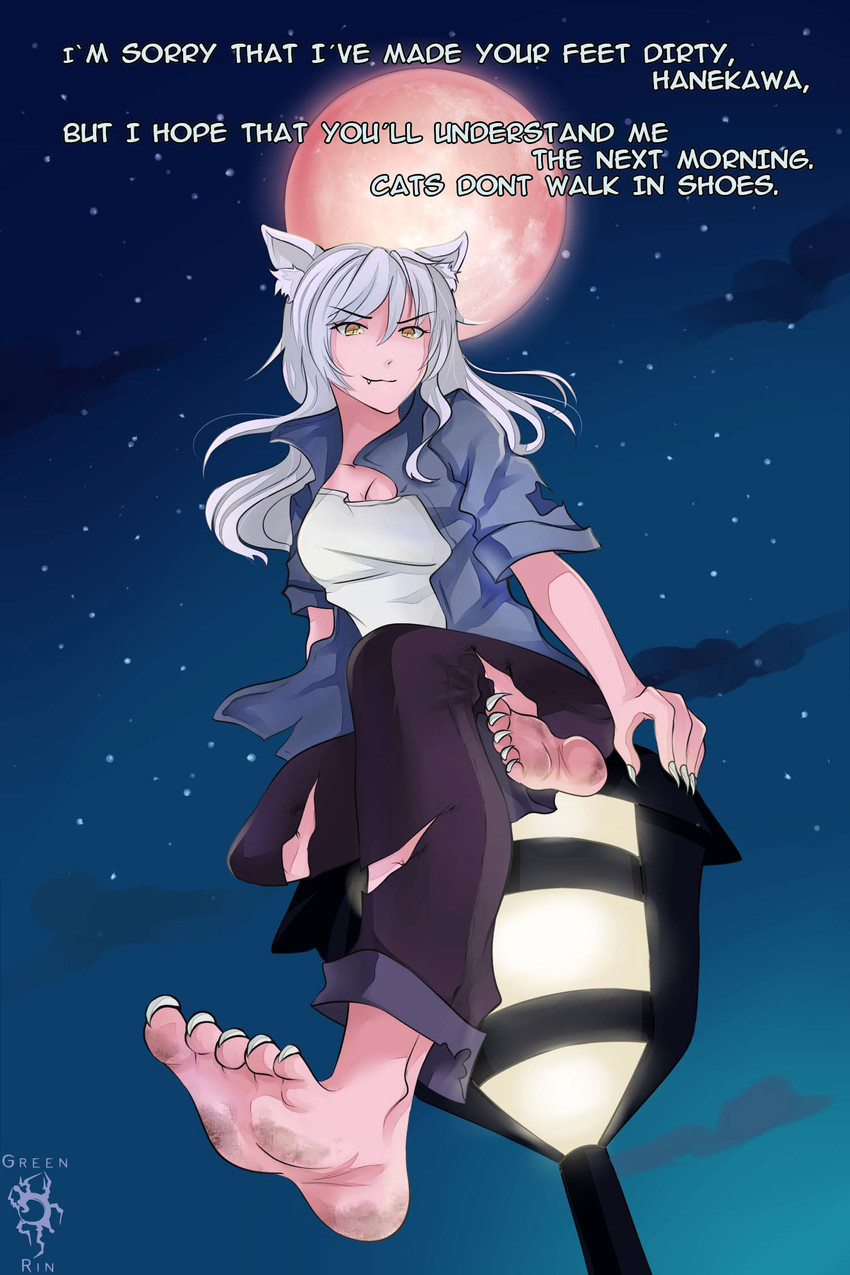 hanekawa tsubasa and black hanekawa (monogatari) drawn by green_rin_(marina)