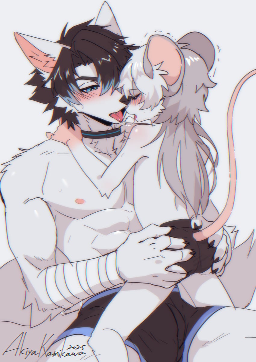 chang wen (original and 1 more) drawn by akiyakamikawa