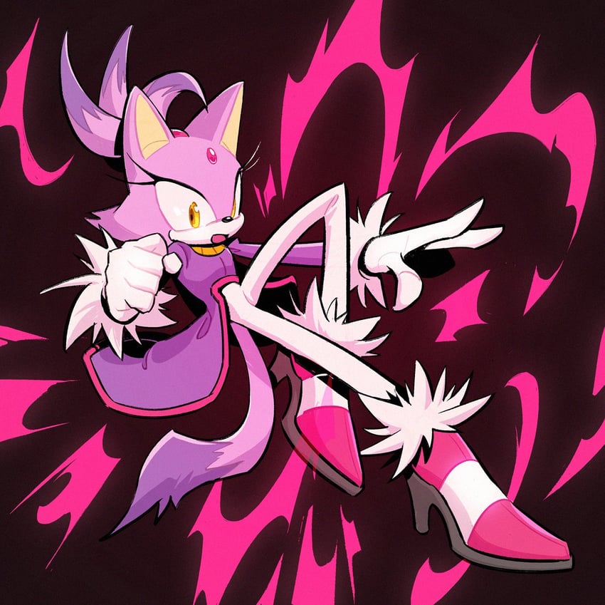 blaze the cat (sonic) drawn by tenpu_(oo_oo_ll_ll)
