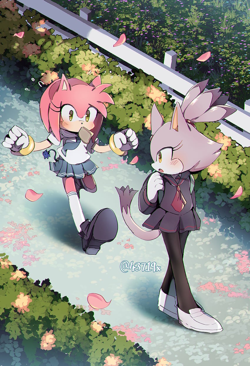 amy rose and blaze the cat (sonic) drawn by rellyia