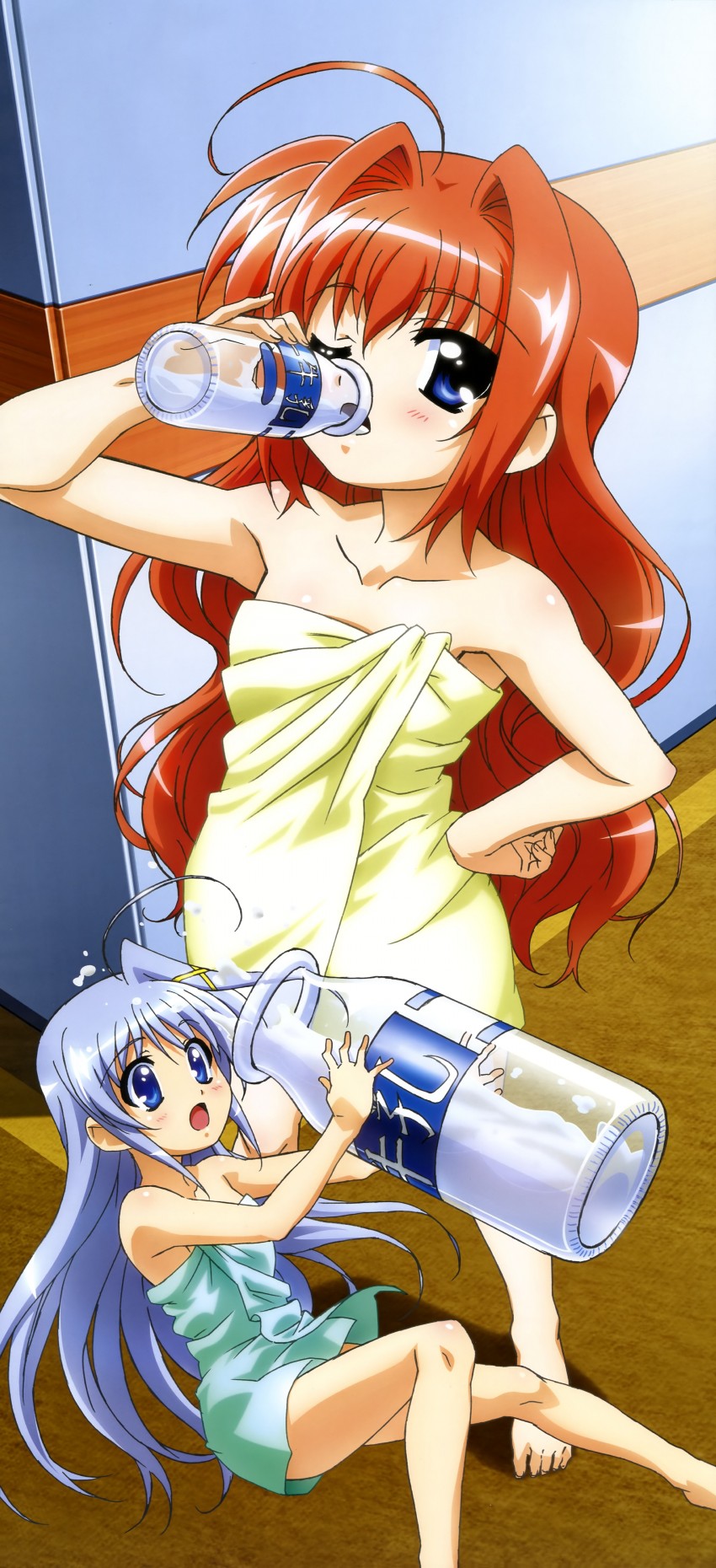 vita and reinforce zwei (lyrical nanoha and 2 more) drawn by hashimoto_takayoshi