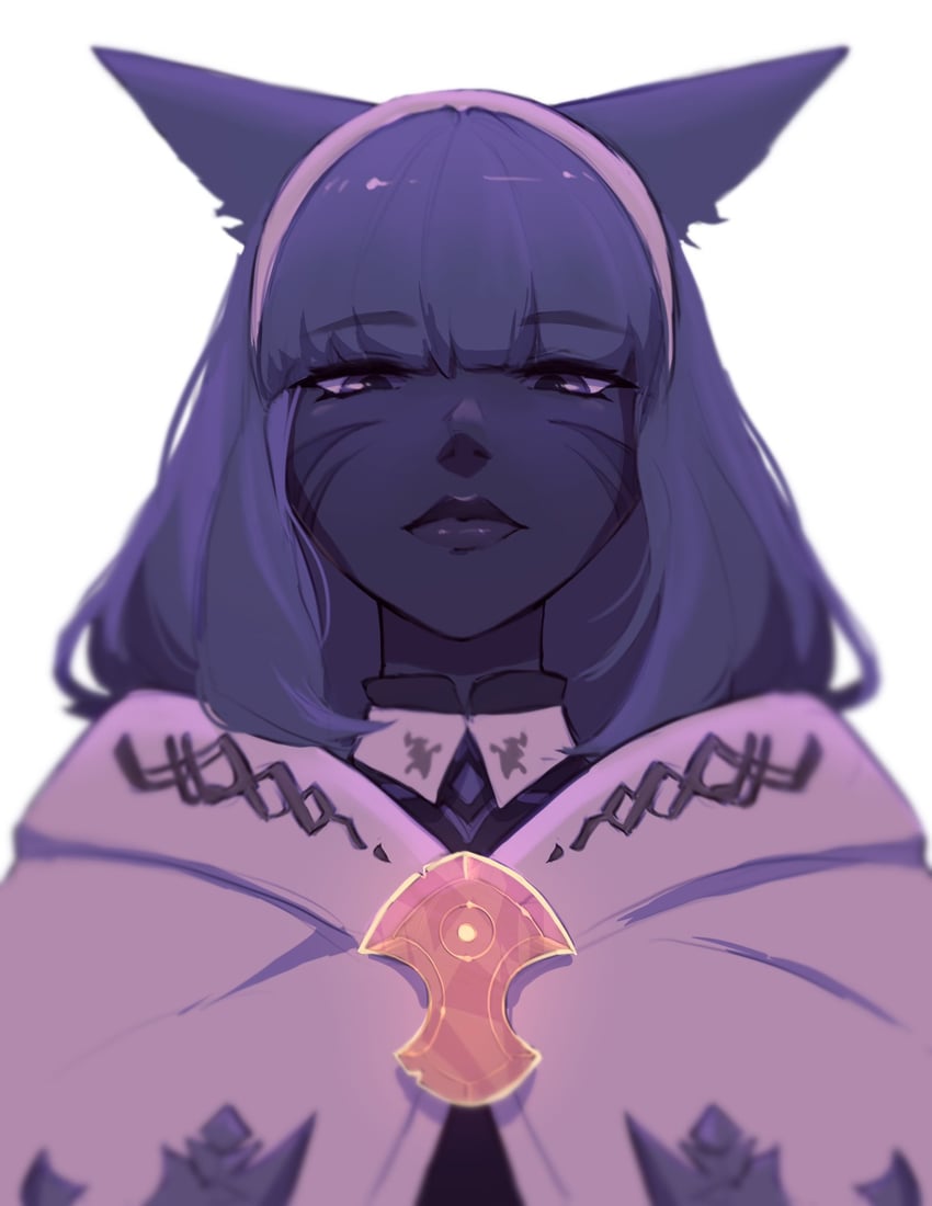 warrior of light (final fantasy and 1 more) drawn by noroiju