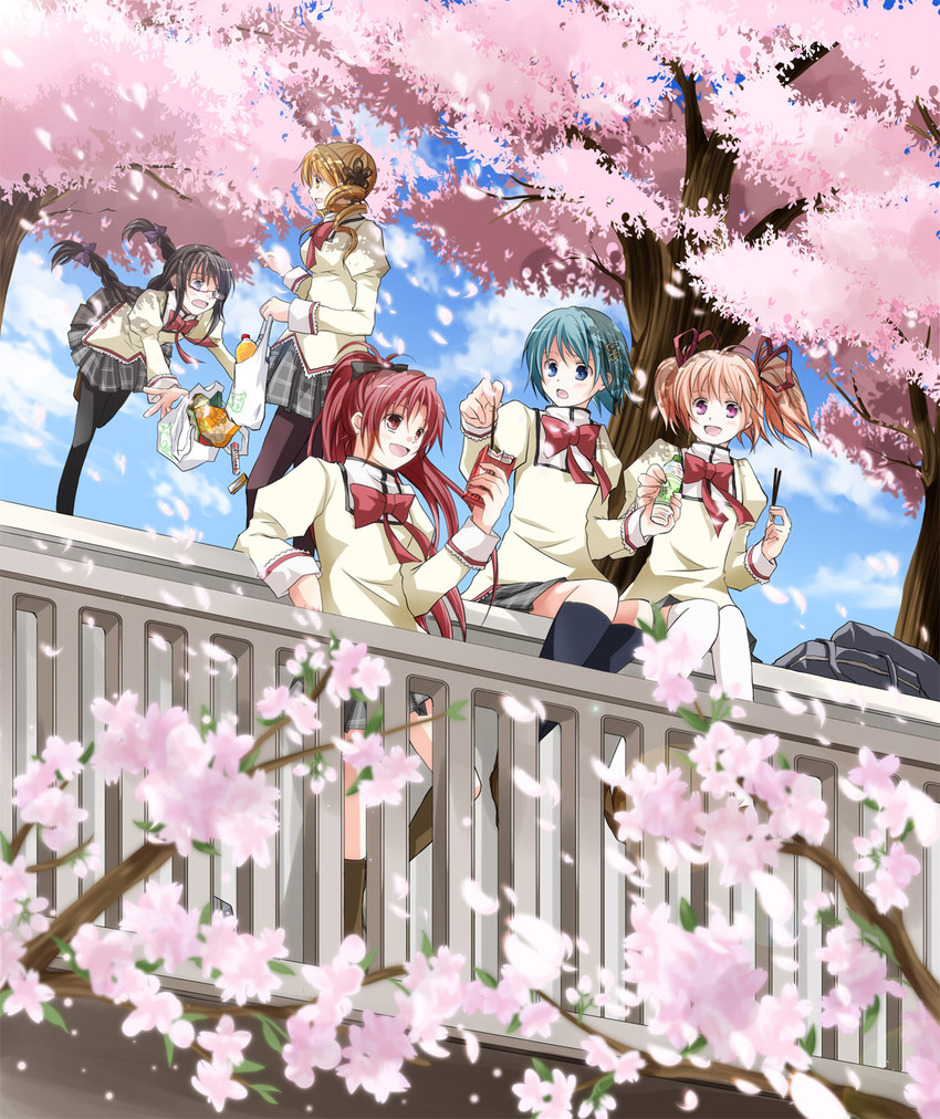 akemi homura, kaname madoka, miki sayaka, sakura kyoko, and tomoe mami (mahou shoujo madoka magica) drawn by iroha_(shiki)