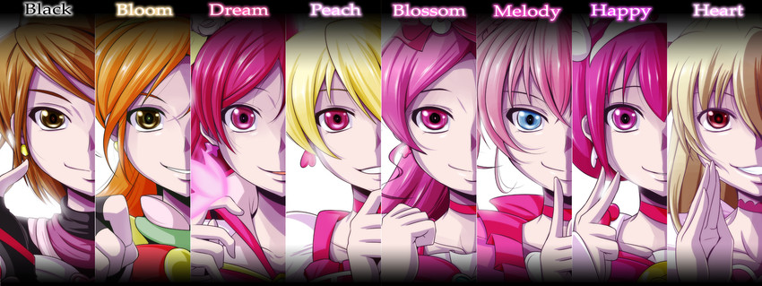 houjou hibiki, aida mana, hoshizora miyuki, misumi nagisa, hanasaki tsubomi, and 11 more (precure and 9 more) drawn by nishi_koutarou
