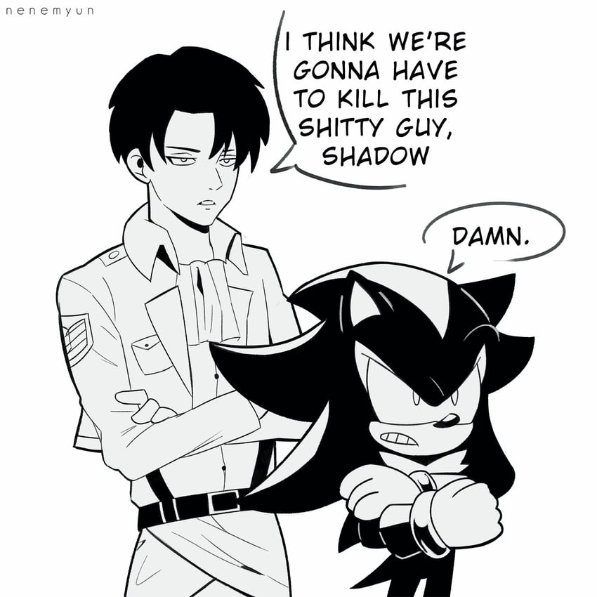 shadow the hedgehog and levi (sonic and 1 more) drawn by nenemyun