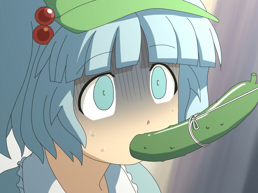 kawashiro nitori (touhou and 1 more) drawn by shirosato