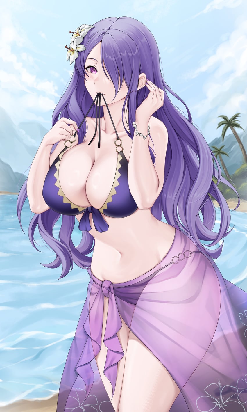 camilla (fire emblem and 2 more) drawn by foxie30