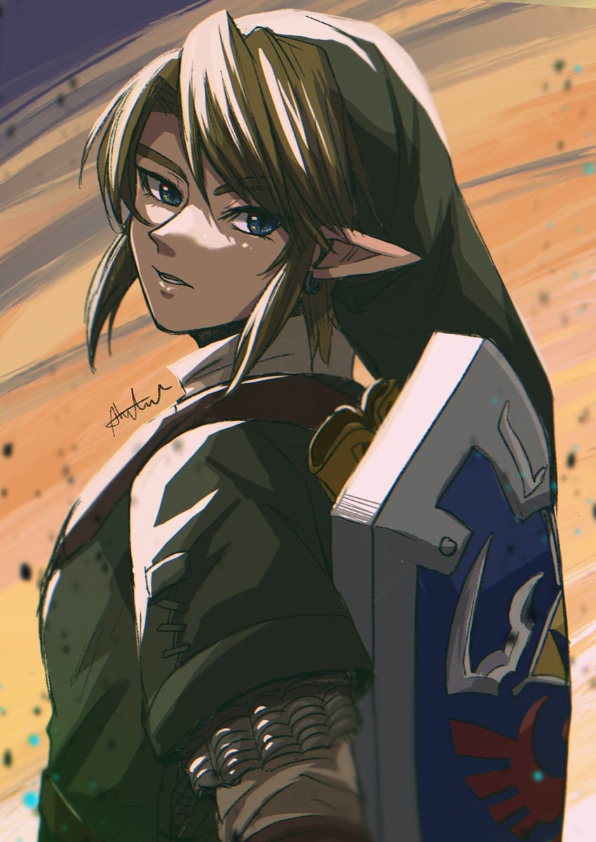 link (the legend of zelda and 1 more) drawn by sakuya_996