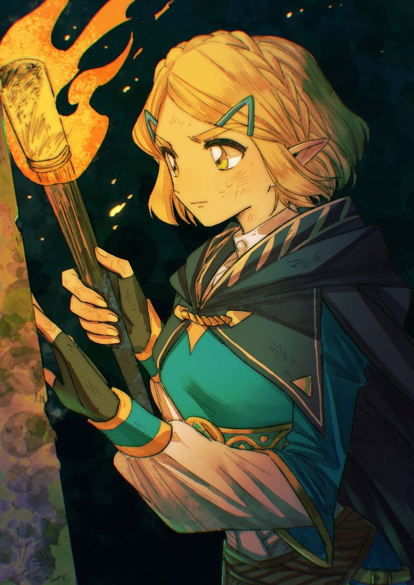 princess zelda (the legend of zelda and 1 more) drawn by mouyi