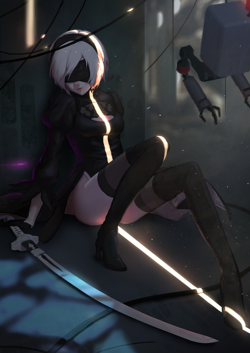 2b and pod (nier and 1 more) drawn by jieeee
