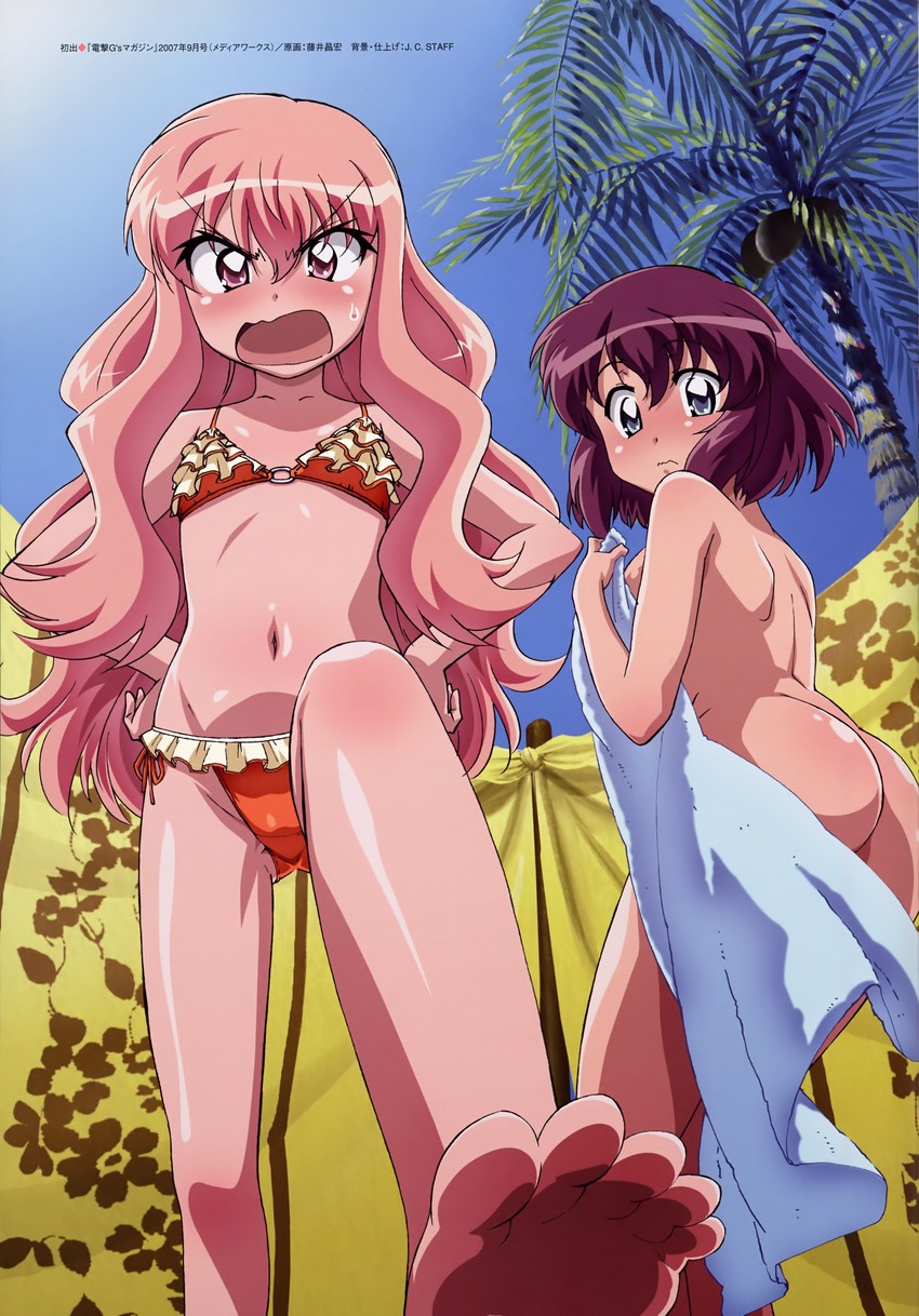 louise francoise le blanc de la valliere and henrietta de tristain (zero no tsukaima and 1 more) drawn by fujii_masahiro