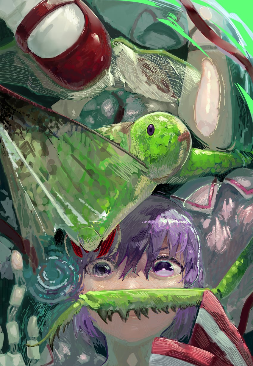 remilia scarlet and hisaka (touhou and 1 more) drawn by satodesu_cookie