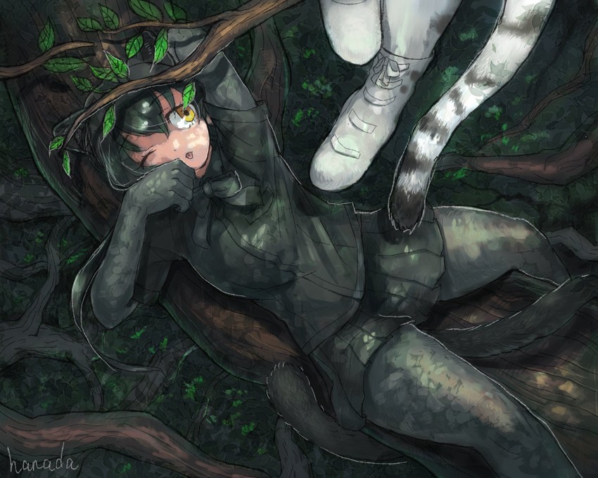 white tiger and black leopard (kemono friends) drawn by hanada_(cobalt003)