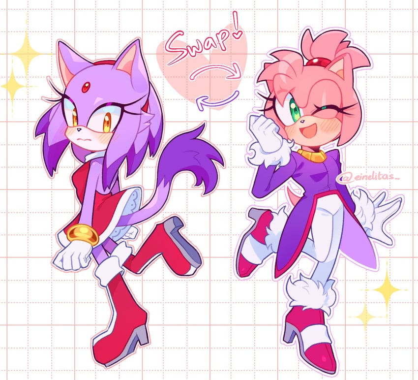 amy rose and blaze the cat (sonic) drawn by einelitas