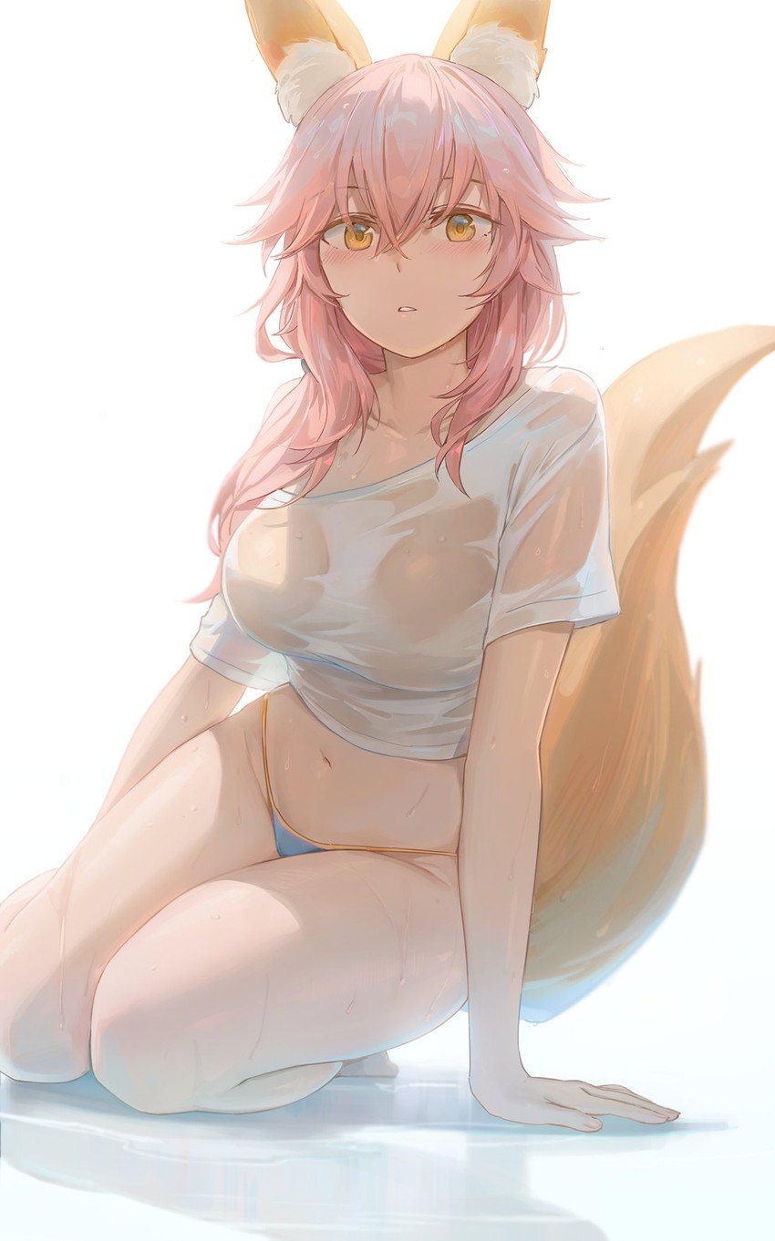 tamamo and tamamo no mae (fate and 1 more) drawn by free_style_(yohan1754)