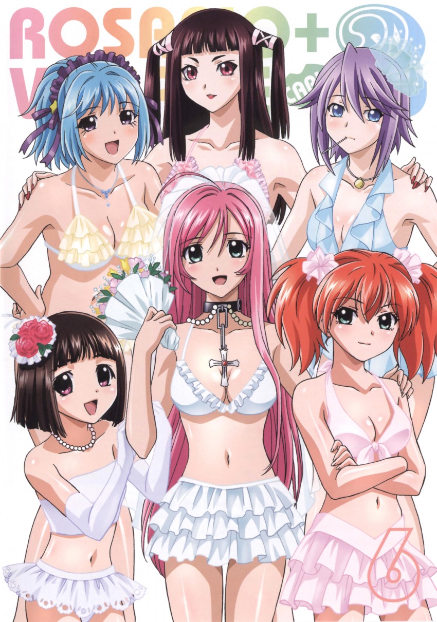 akashiya moka, shirayuki mizore, kurono kurumu, sendou yukari, toujou ruby, and 1 more (rosario+vampire) drawn by fujita_mariko