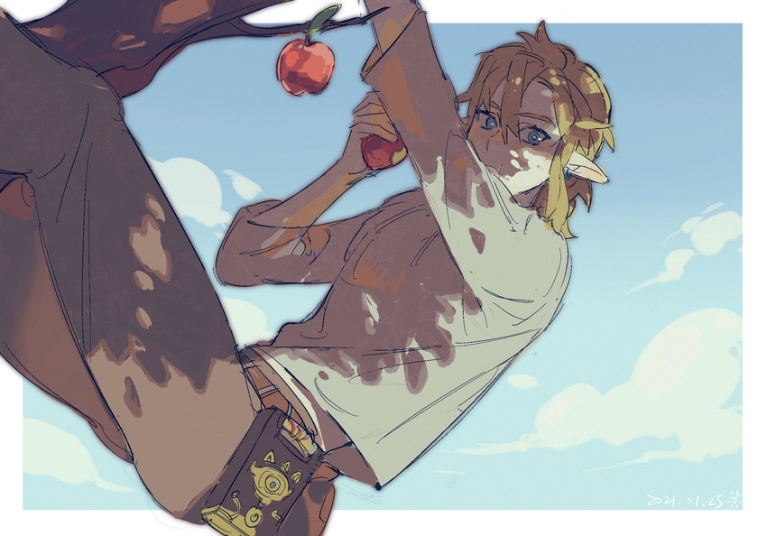 link (the legend of zelda and 1 more) drawn by sumooo_(ga_ilil)