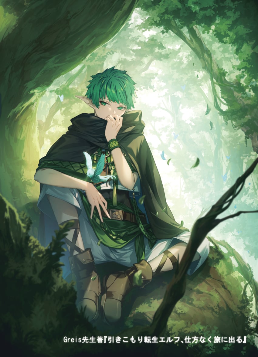 hikikomori tensei elf shikata naku tabi ni deru drawn by genyaky